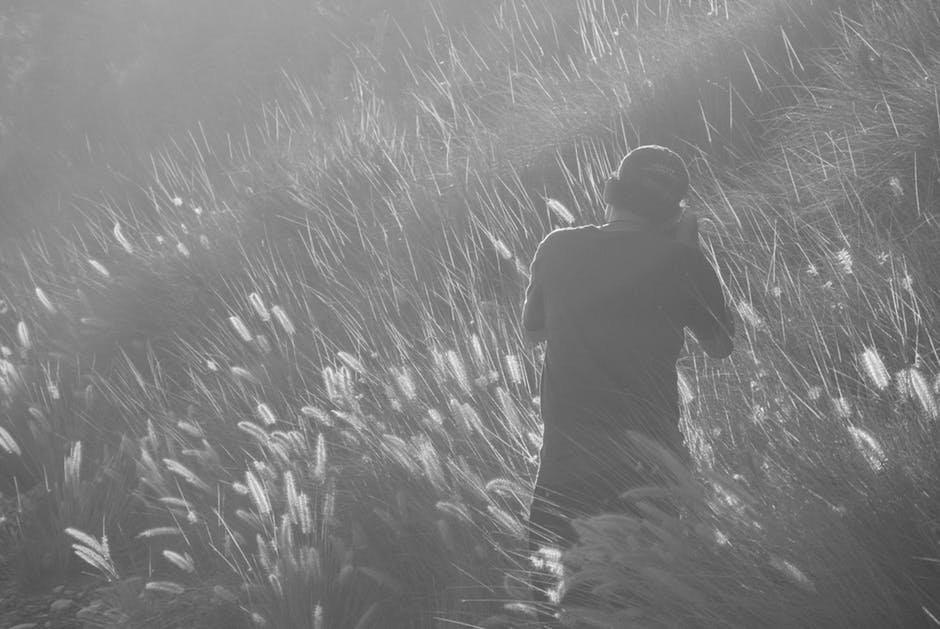 男子摄影在草地摄影中的应用