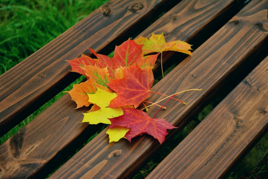 秋天的高清照片-秋天的色彩-明亮