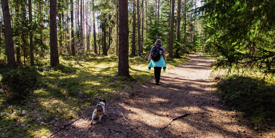 穿着黑色背包的女人和她的狗一起走在森林里