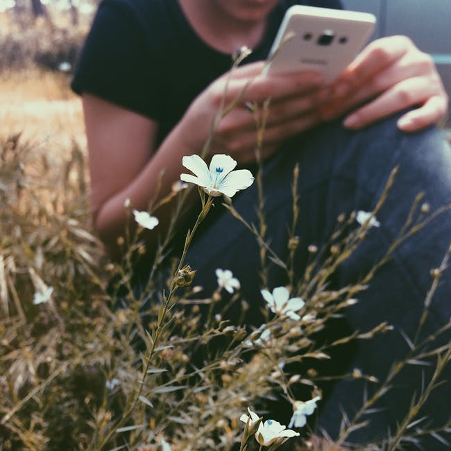 女性手持智能手机白色花瓣的选择性聚焦摄影