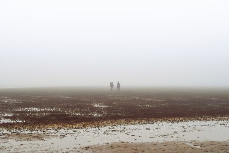 两人漫步在迷雾覆盖的田野上