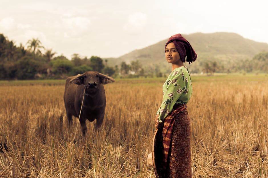 站在黑水野牛附近的女人