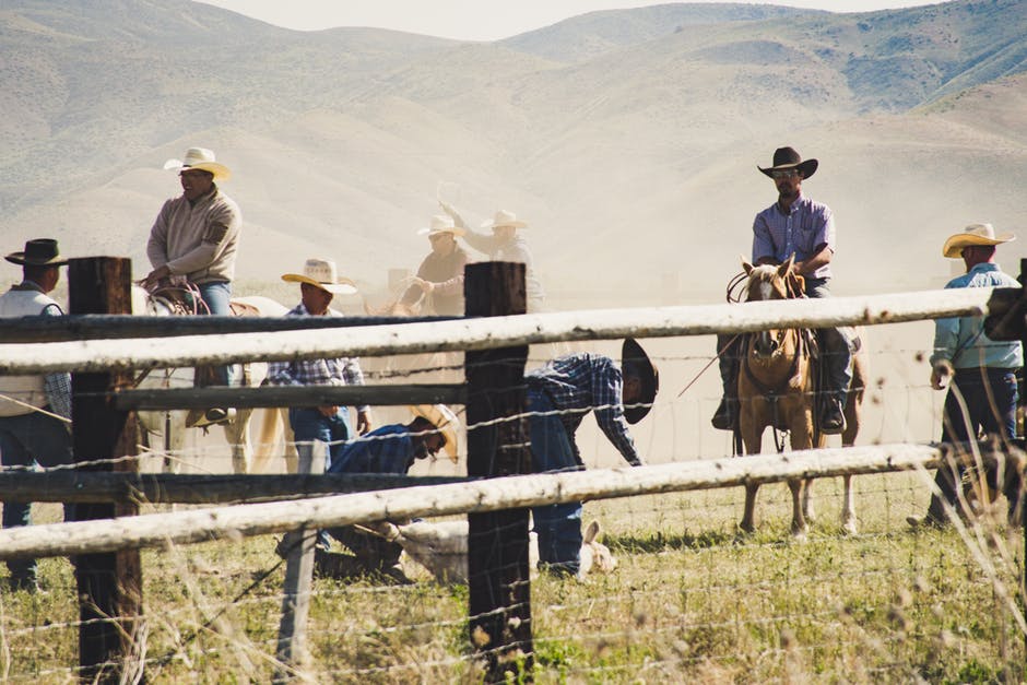 牛仔骑在马附近的灰色木制篱笆