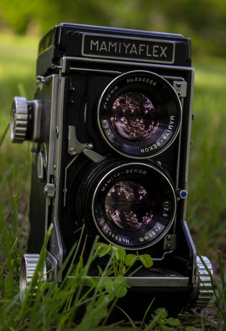 MAMYYA Flex双镜头相机在草地上的特写镜头