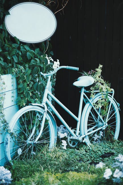 绿色植物附近的蓝色自行车