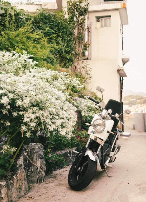 White和黑色摩托车踏车停在白色建筑物旁的白色花瓣上