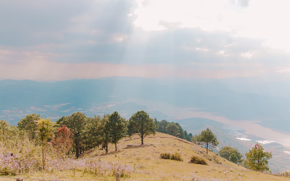 山峰顶上的绿树