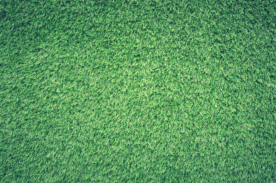 青草草坪