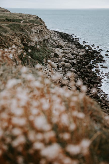 近海石材选择性聚焦摄影
