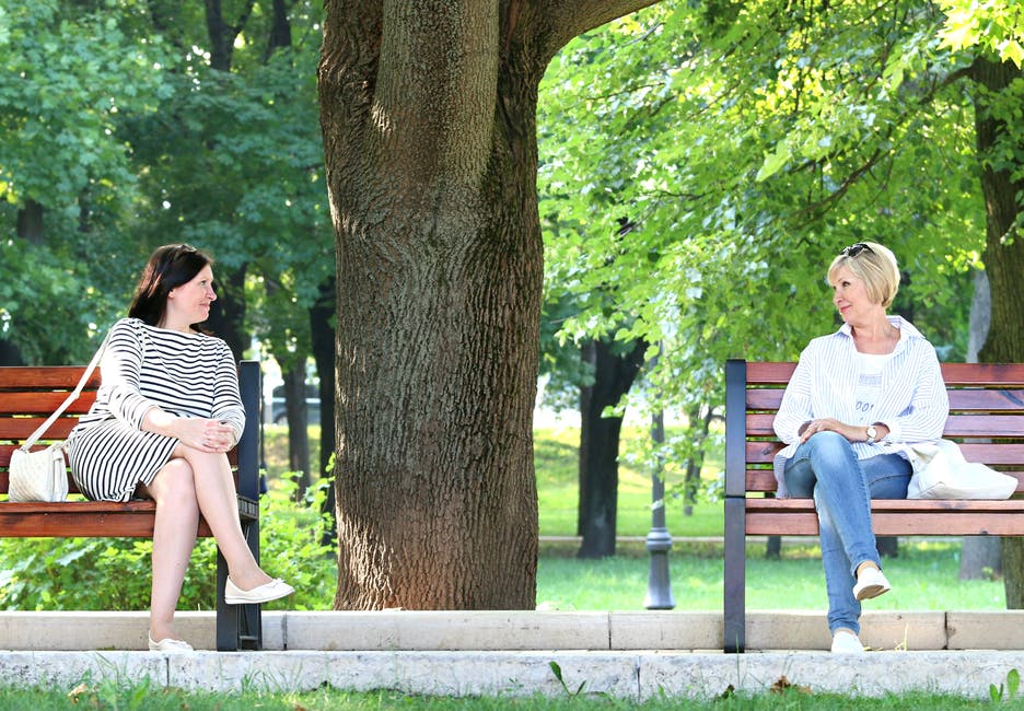 2名妇女白天坐在公园树旁的长椅上