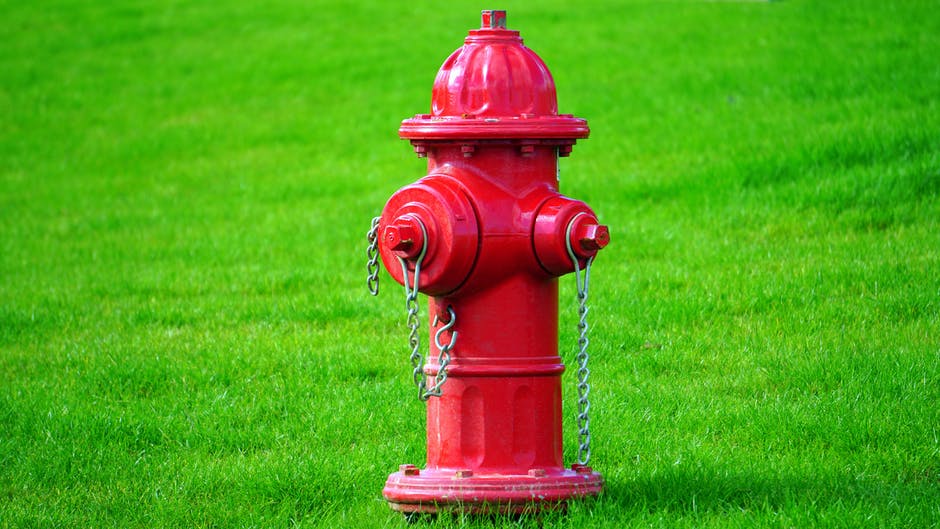 绿草场上的红色消火栓