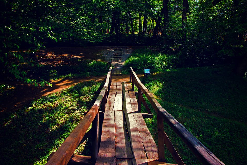 黄金时段森林附近的棕色木桥