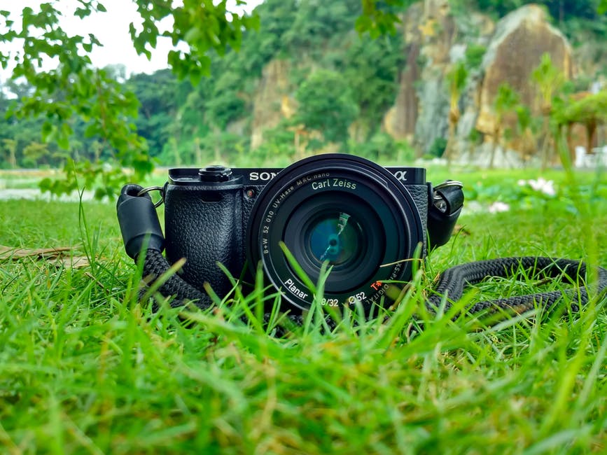 棕绿山前绿草上的黑色索尼DSLR相机