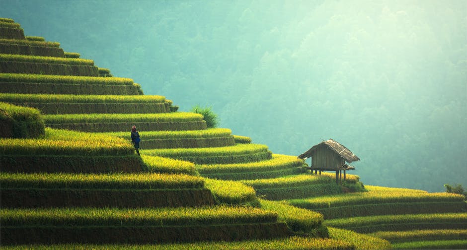 高清农业照片-亚洲-中国