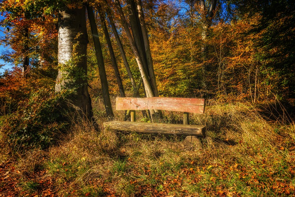 秋天的高清照片-长凳-颜色