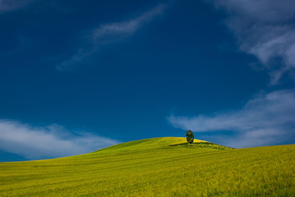 农业-蓝色-蓝色天空高清照片