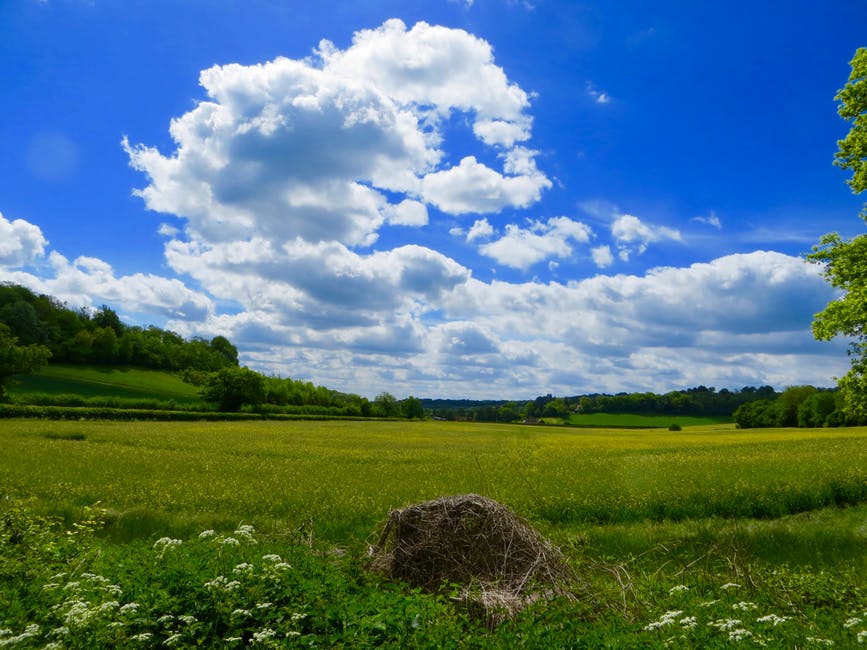 阳光-云朵-乡村的高清照片