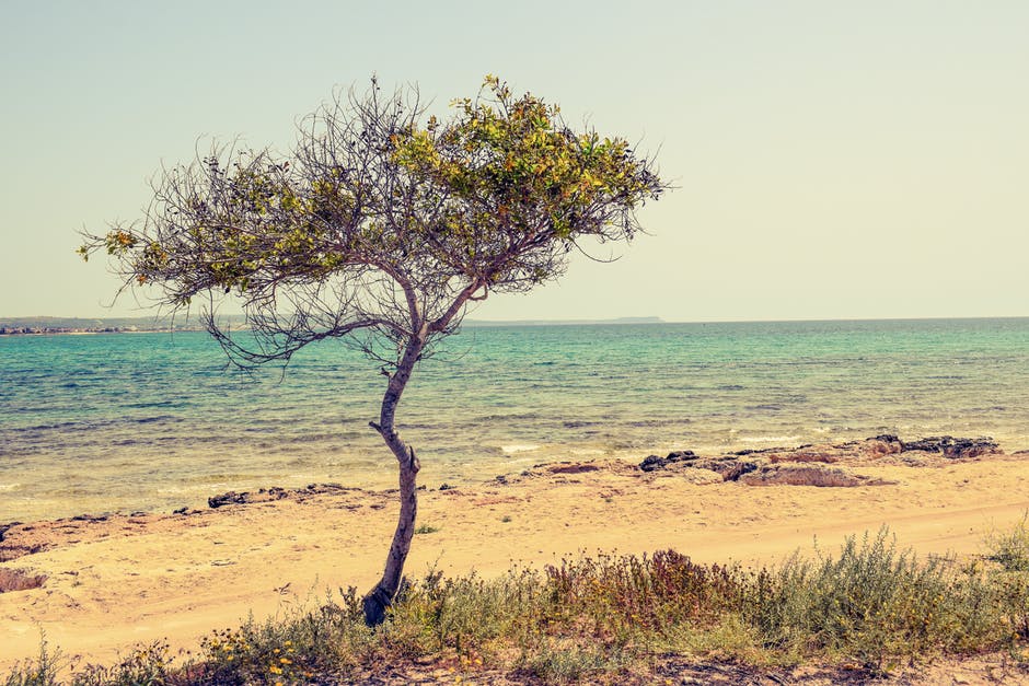 海滩高清照片-美丽-塞浦路斯
