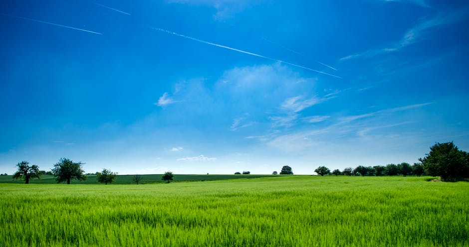 高清农业照片-明亮-云朵