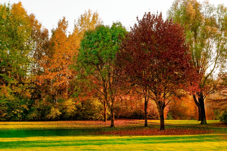 秋季-日光-环境高清照片