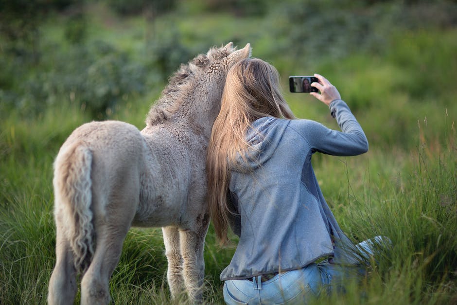 Donkey Taking Selfie旁边的女人在草地上