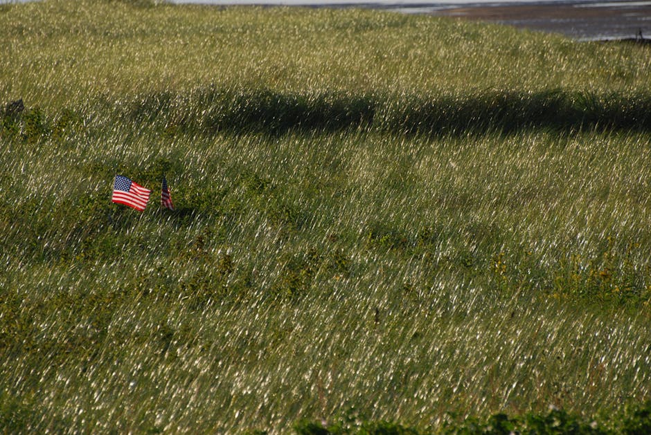 绿草地上的美国国旗
