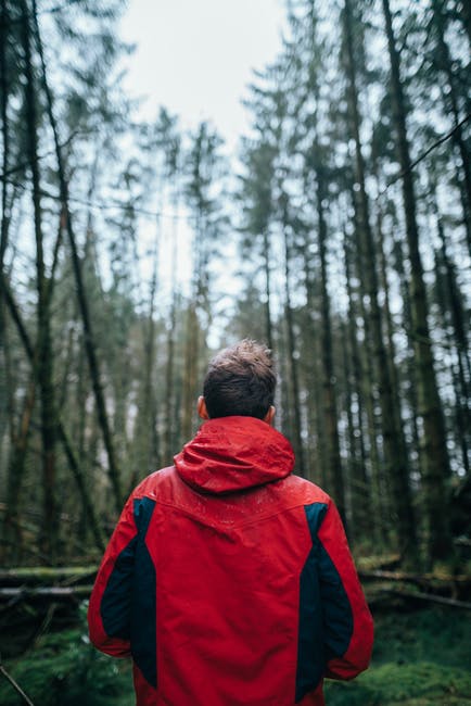 Man Wearing Black和红夹克在森林中的摄影