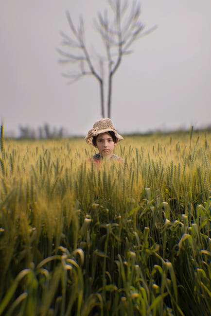 在绿色田野中间穿褐色帽子的学步儿童