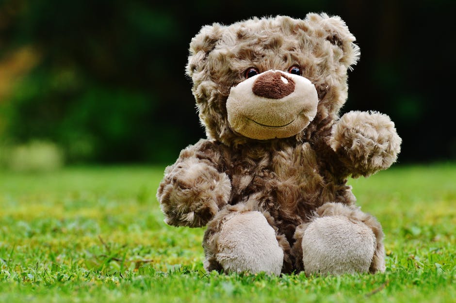 棕色的泰迪熊坐在草地上