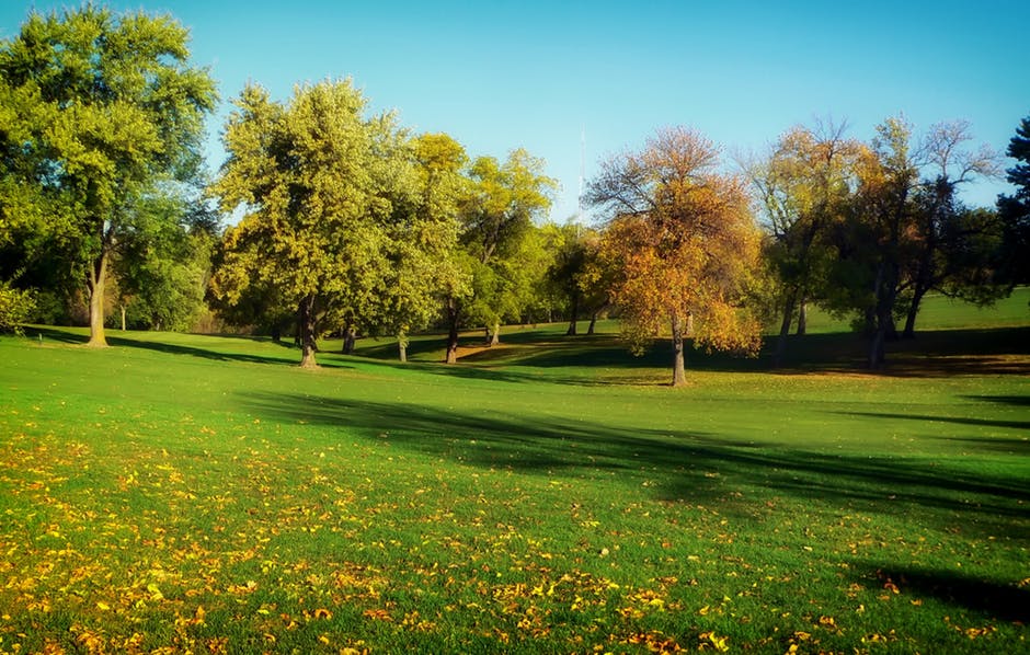 秋季-秋季-高尔夫高清照片