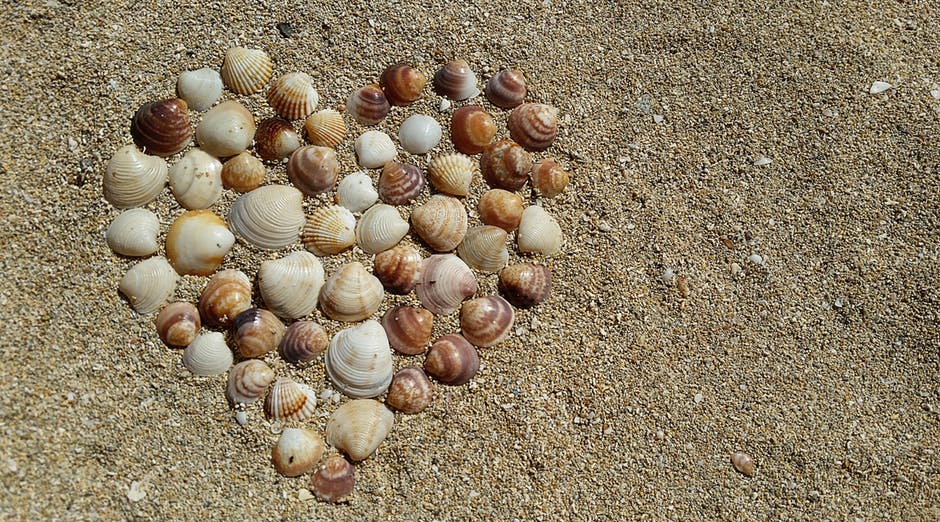 棕色海滩沙滩上的心形海贝