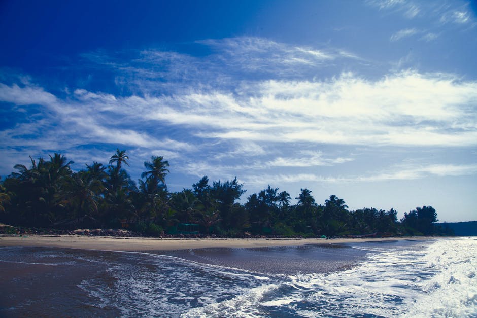 海岸附近椰林风景摄影