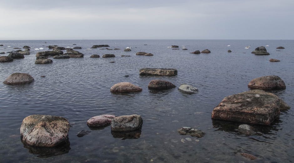 海滩照片中的石头