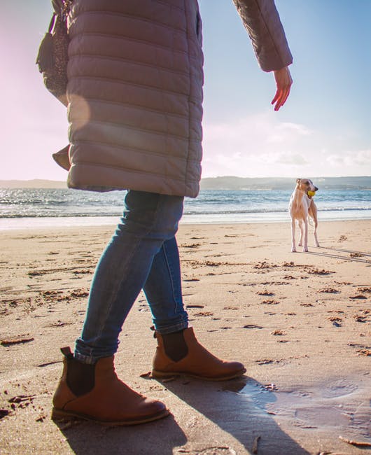 泡泡衣人走在沙滩上靠近狗的白天