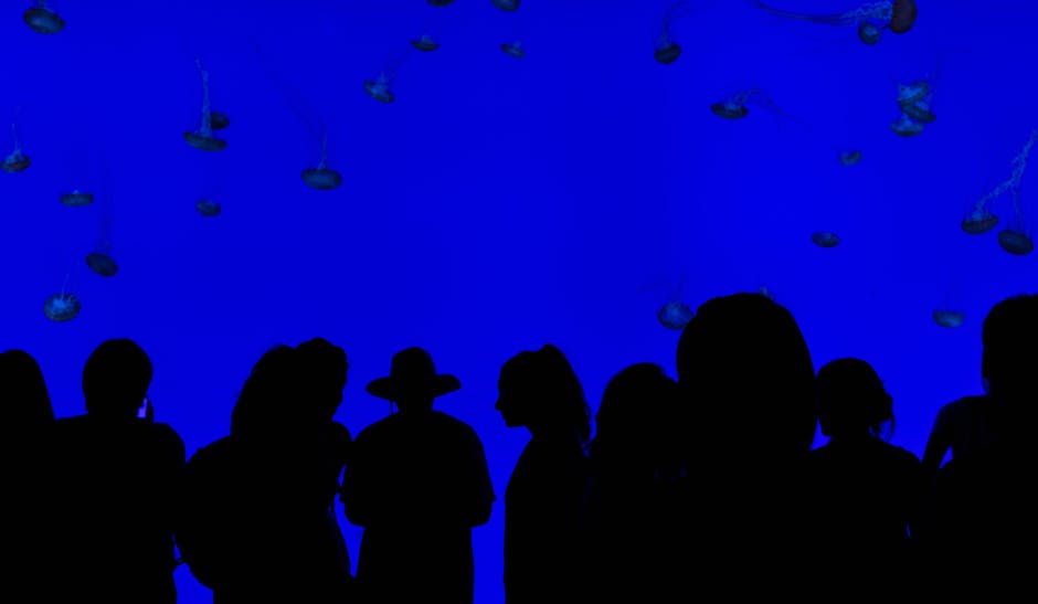 高清水族馆图片-蓝色-人群