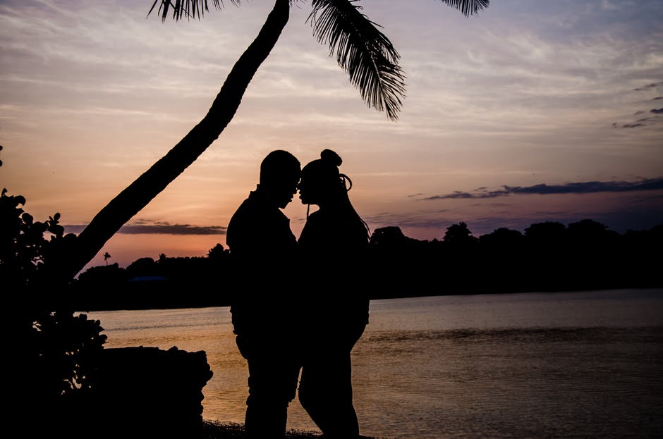 夕阳下的两个人拥抱在树旁