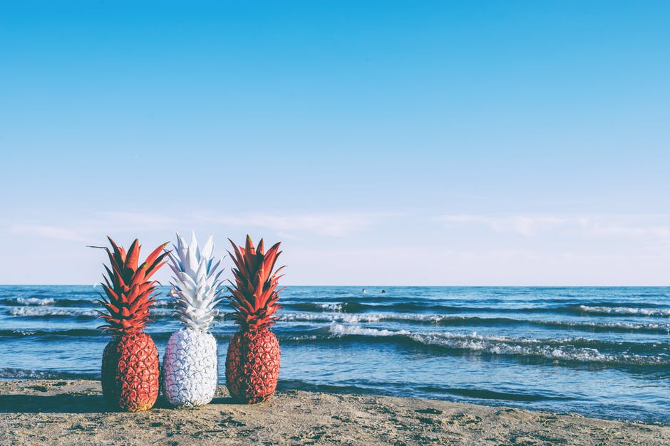 海滩附近的白色和两个红色的菠萝