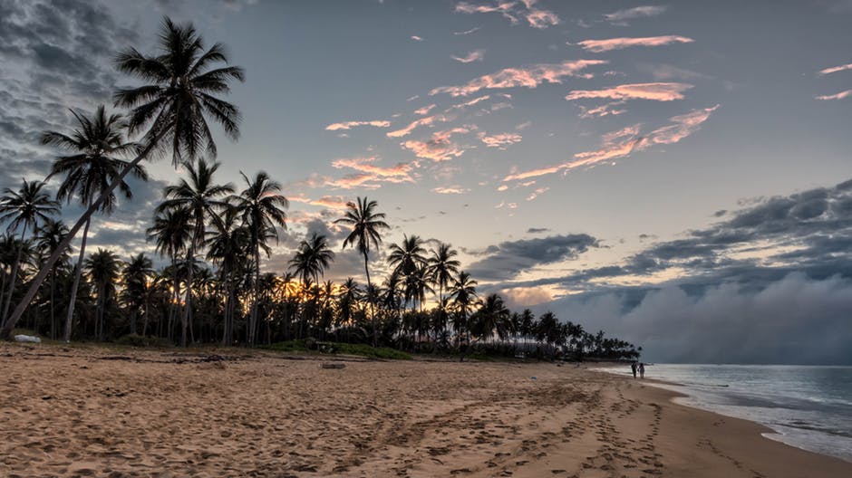 日落海滩岸边棕榈树