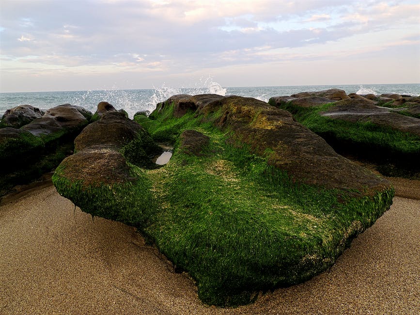 滨海岩层