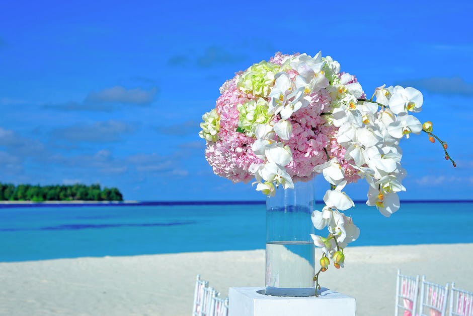 海滩-花束-明亮的高清照片