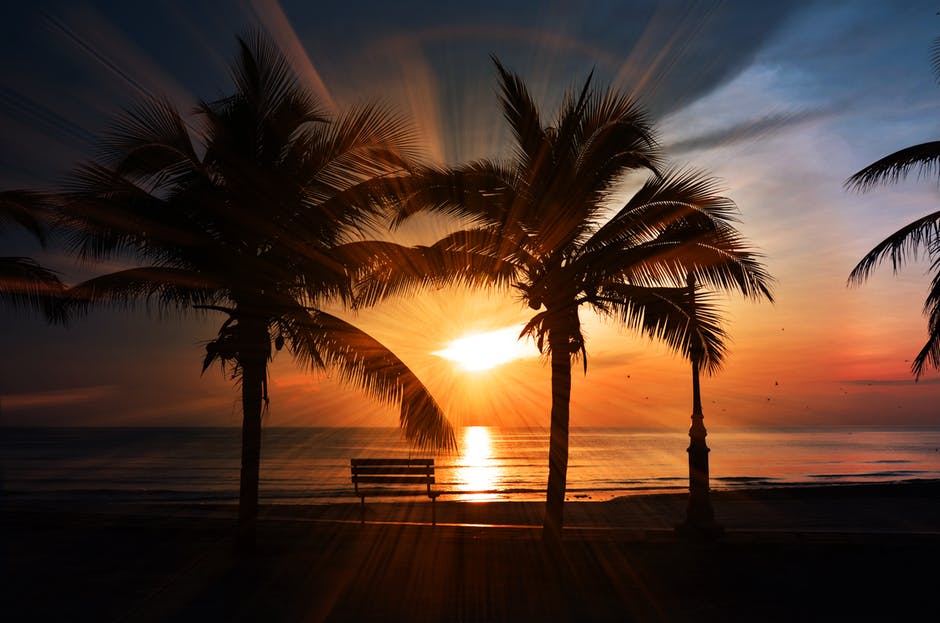 海滩-海滩日落-长凳高清照片