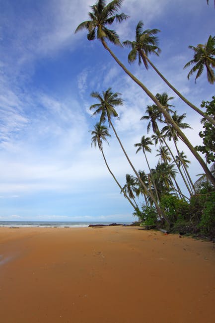 海滩-云朵-椰子树高清照片