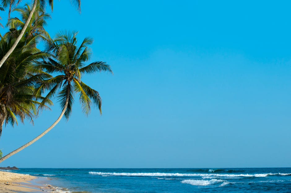 海滩-海岸-椰子树高清照片