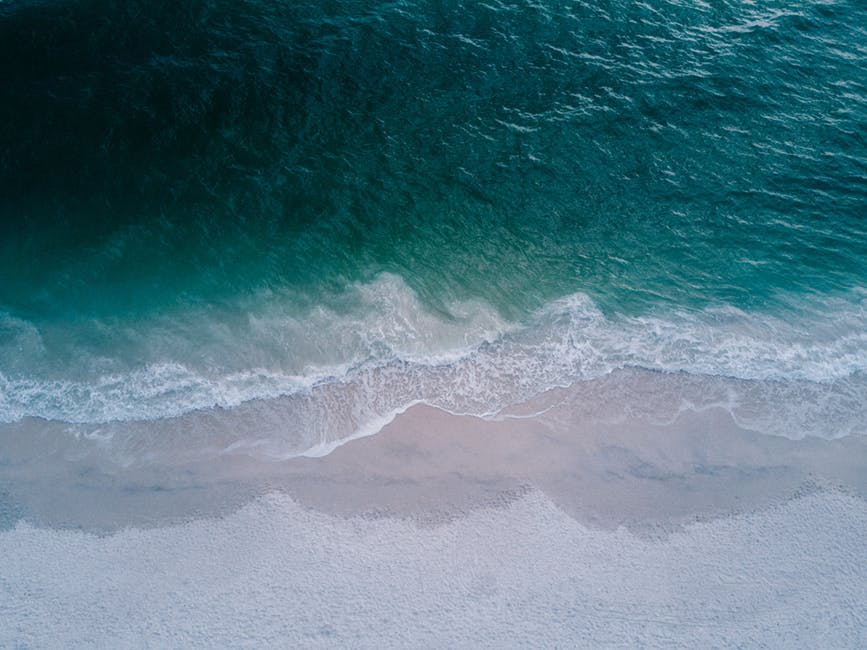 海滩-日光-泡沫高清照片