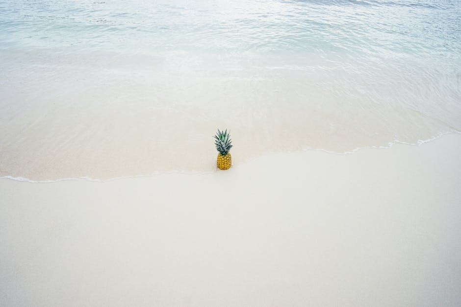 海滩中部的菠萝