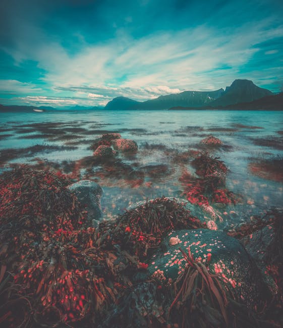 云彩-珊瑚-环境高清照片
