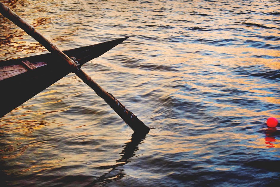棕舟桨高角度照片