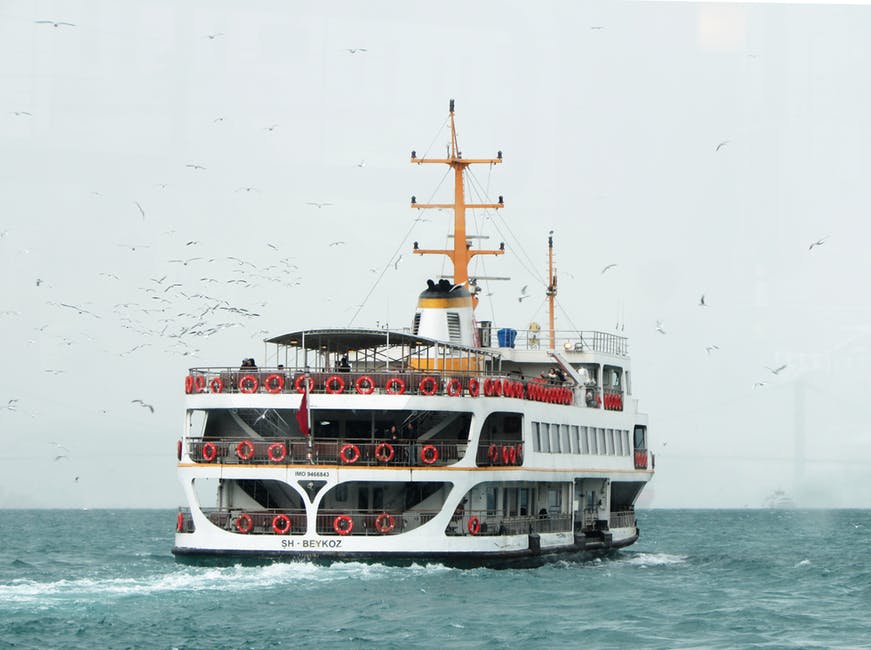 白色的船穿行在广阔的水域-白鸟在旁边飞翔