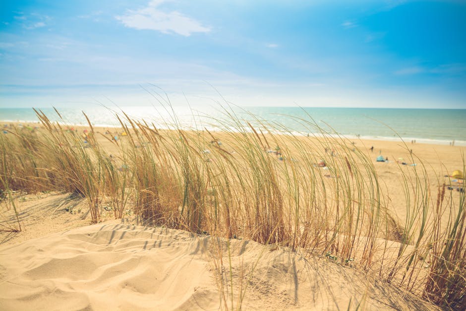 海滩-沙丘-假日高清照片
