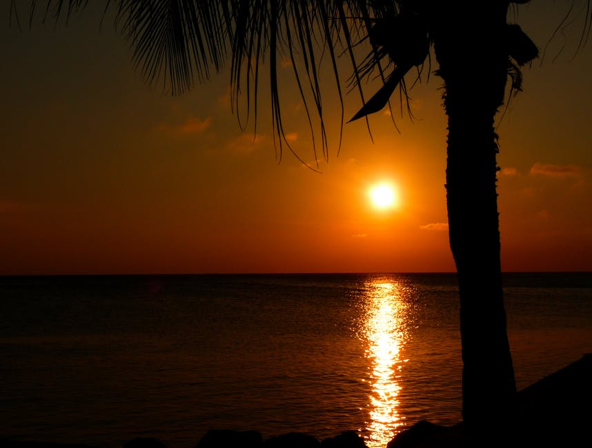 加勒比-黎明-黄昏高清照片